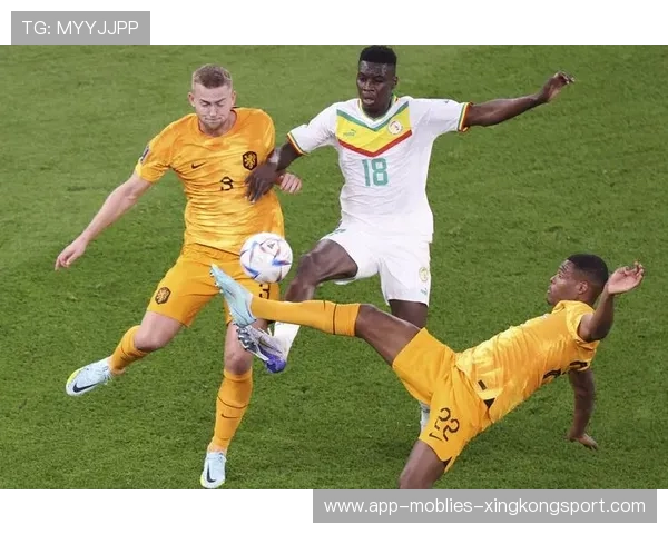 荷兰的中后场安排成为讨论重点:从战术到青训的全景解码