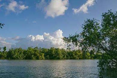 Aster战术创新获好评，std战术ak